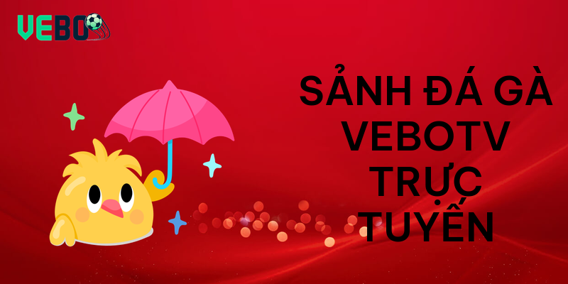 Sảnh đá gà vebotv trực tuyến