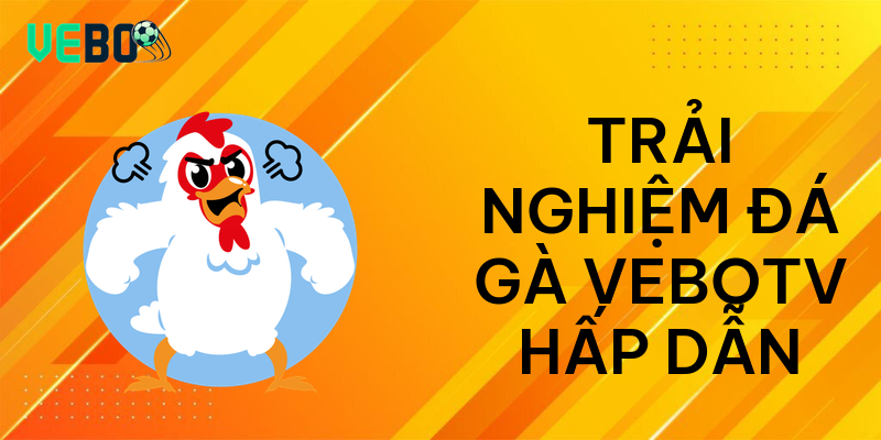 Trải nghiệm đá gà vebotv hấp dẫn